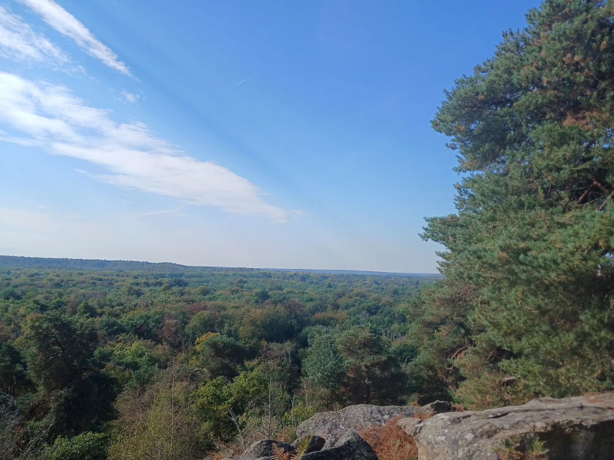 Randonneurs sur les rochers de la forêt de Fontainebleau