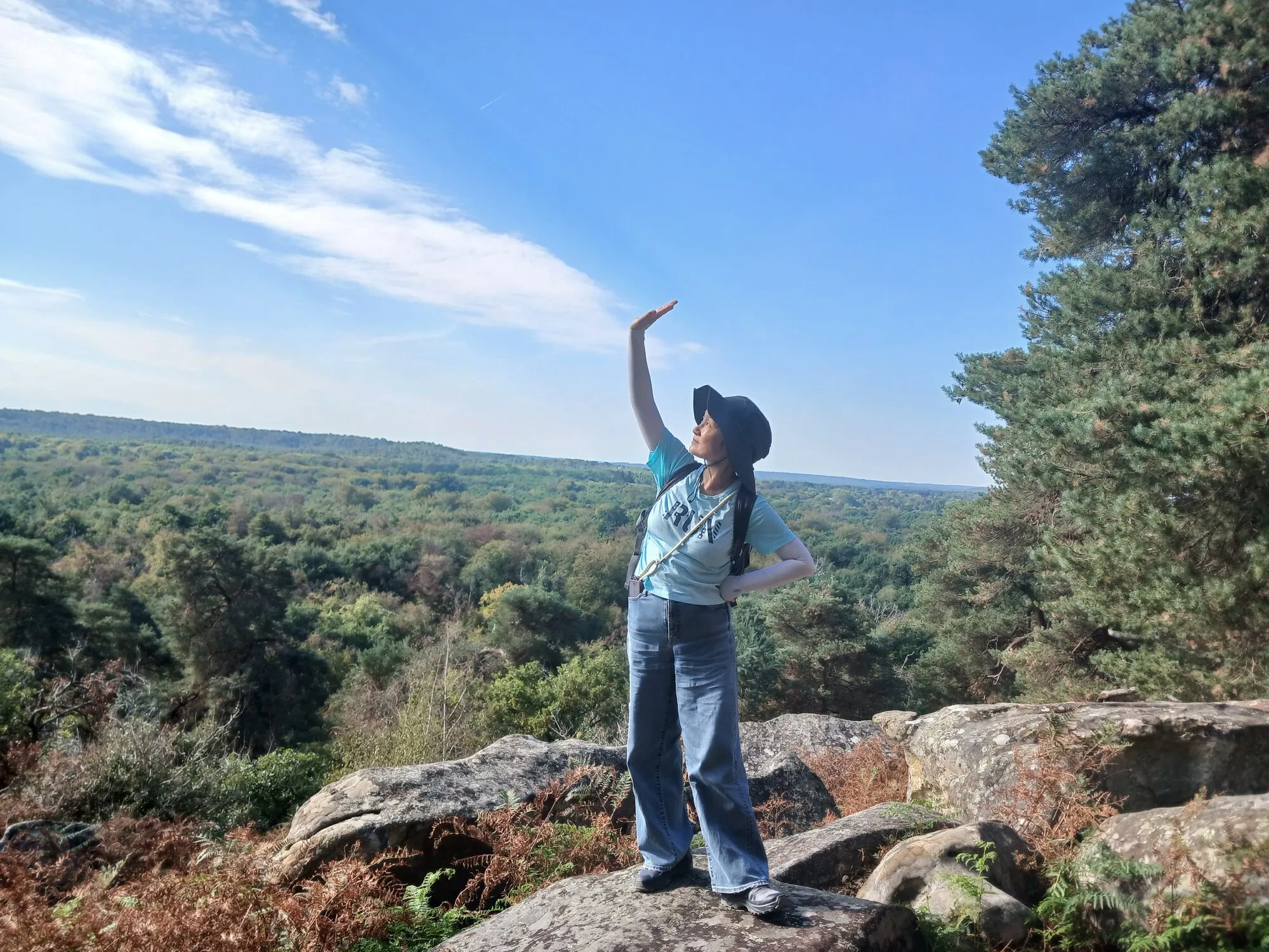 Vue sur la forêt de Fontainebleau