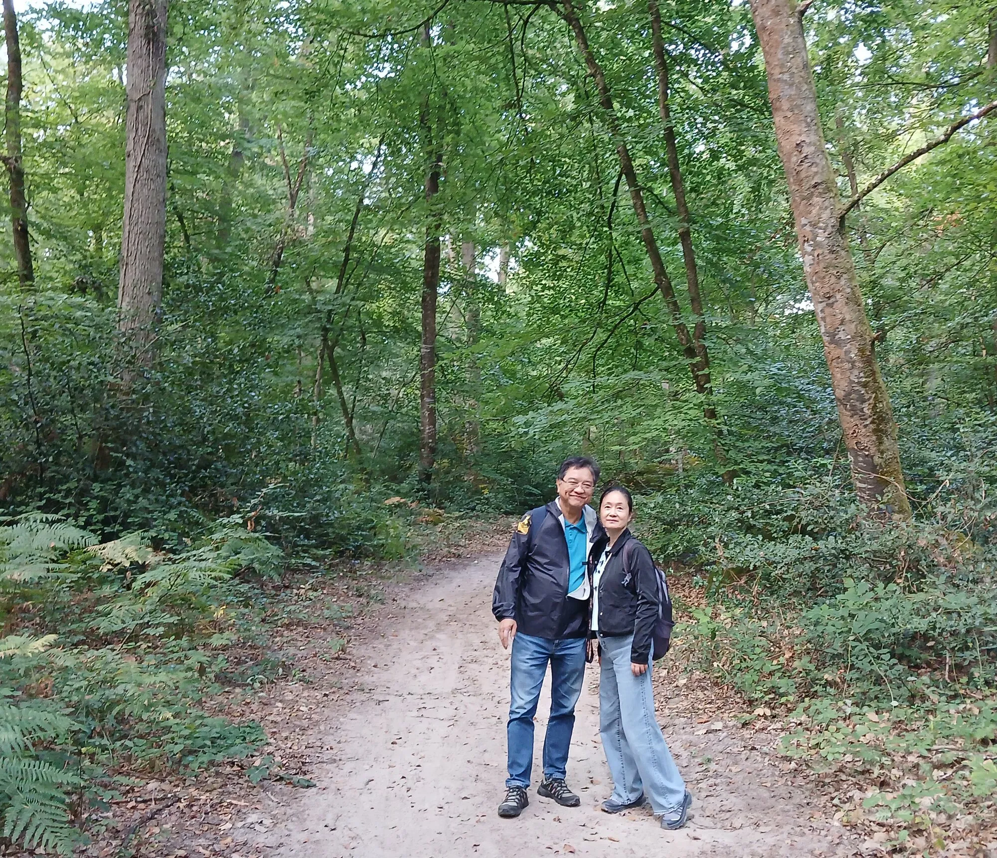 Sur le sentier forestier
