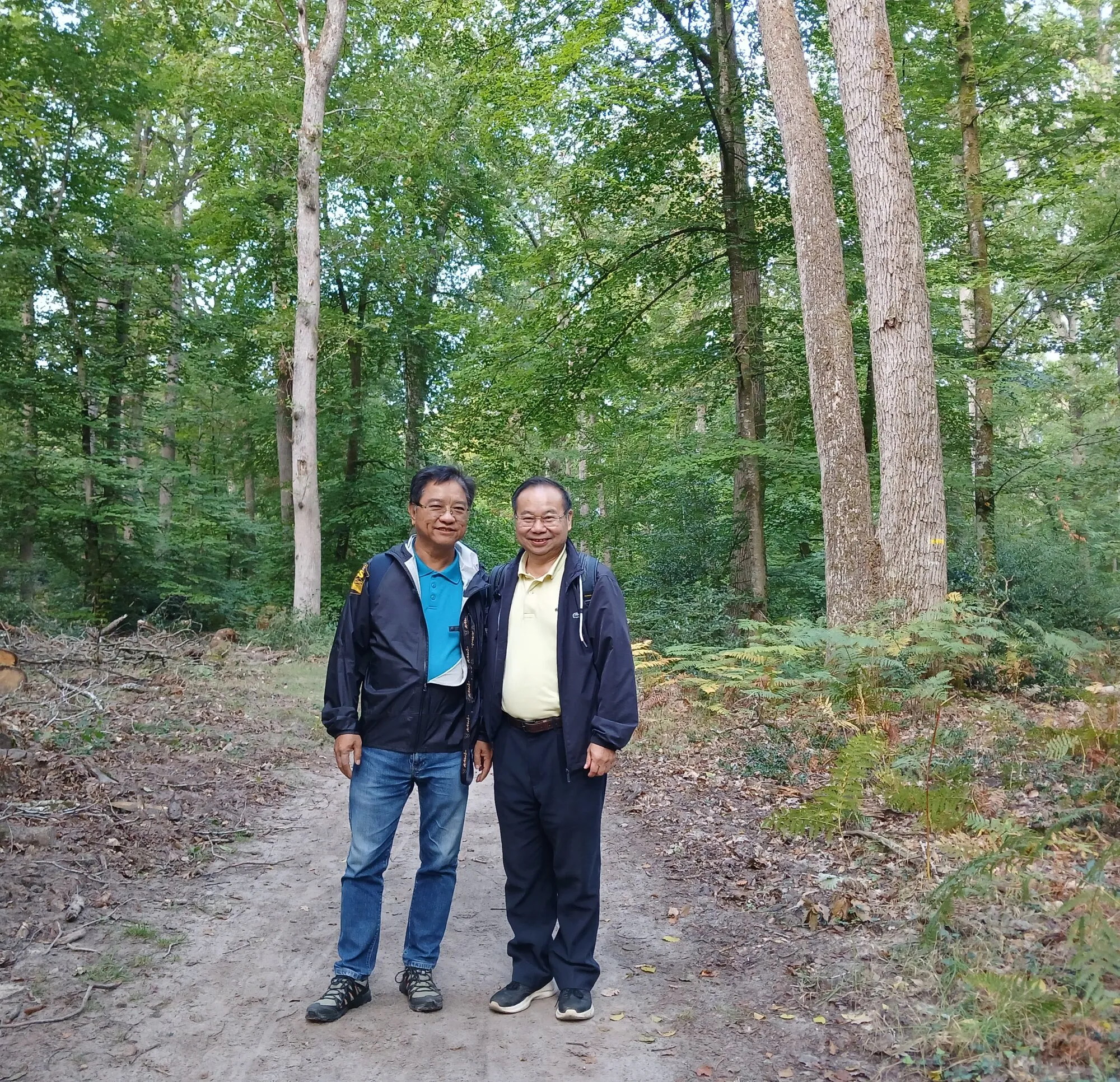 Sur le sentier forestier