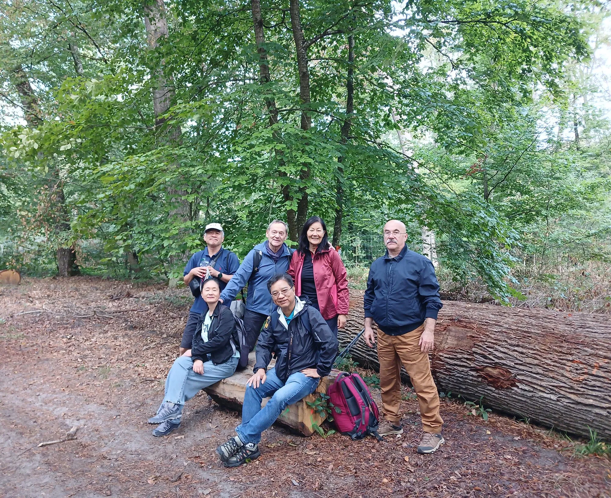 Photo de groupe en forêt