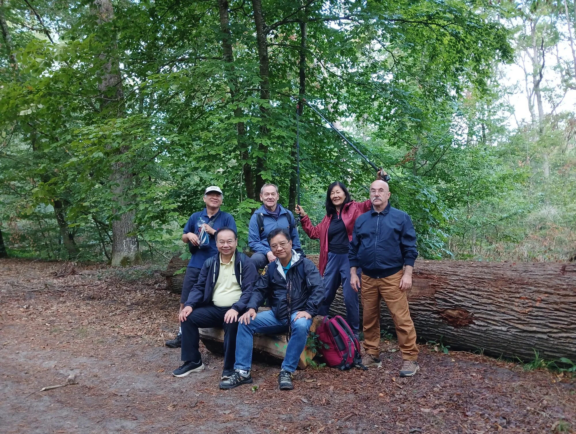 Photo de groupe en forêt