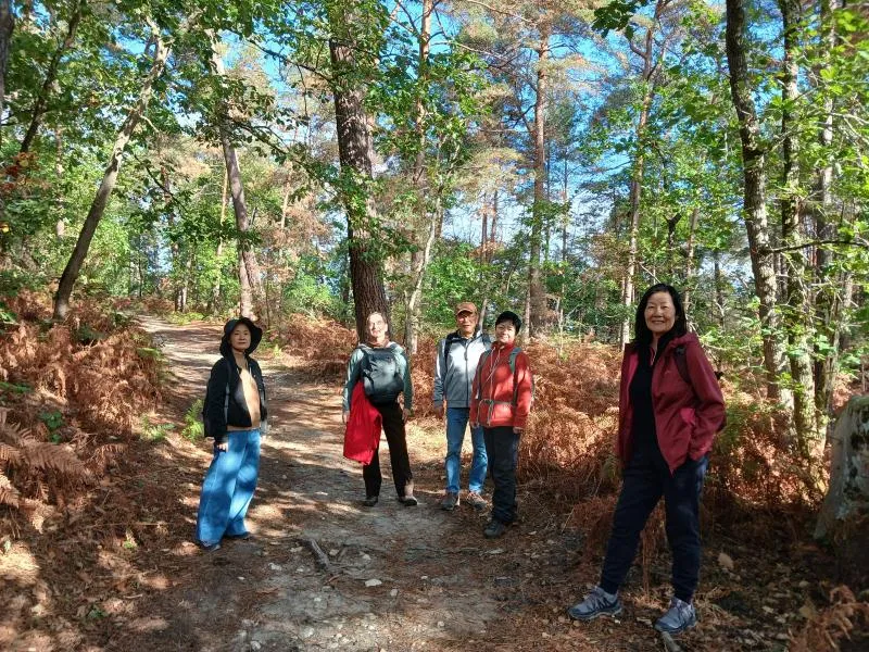 Sur le sentier forestier
